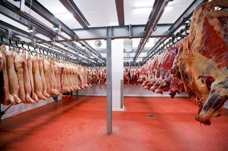 Exportações de carne suína crescem em volume e receita