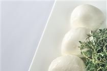 Pesquisa genética mira mais rendimento e qualidade no queijo de búfala