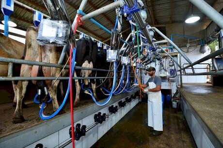 Setor lácteo repudia campanha da NotCo