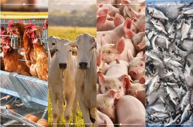 1ª Conferência internacional sobre biosseguridade em Barcelona