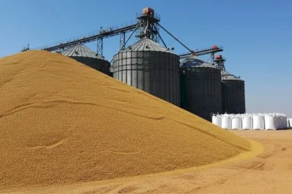 Armazenagem de grãos: Brasil corre risco de estagnação