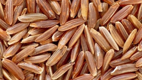 Brasil pode ampliar segurança energética com biomassa