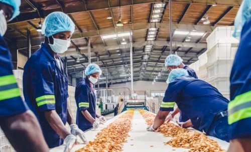 Brasil têm maior taxa do mundo, e pode perder 145 mil vagas de emprego