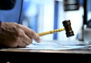 ExpoGenética terá 26 leilões e sete shoppings; feira começa dia 14