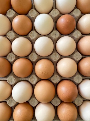 Exportações de ovos crescem mais de 300 porcento em julho e batem recorde de receita