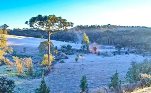 Quinta onda de frio: afinal, até quando vai esse tempo?