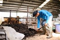 Agro brasileiro ganha calculadora de emissões de GEEs