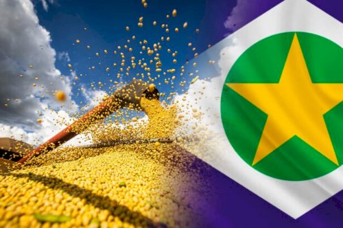 Soja sobe em Chicago com apoio do farelo e de compras técnicas