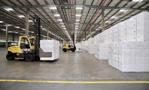 Mato Grosso do Sul prevê mais de R$ 70 bilhões em investimentos em celulose até 2028