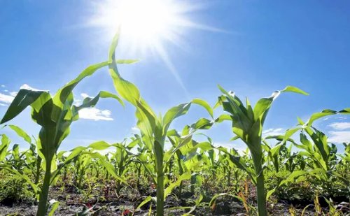 Calor de 40 °C, baixa umidade e pancadas isoladas marcam a quinta-feira no Brasil