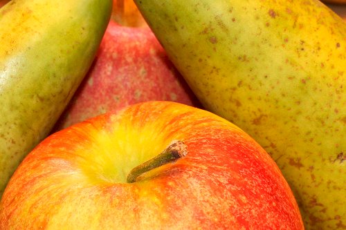 Alimentos hortigranjeiros registram queda de preços em agosto, mas exportações seguem firmes