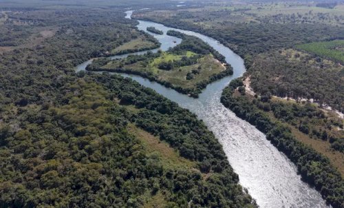 Arauco capta US$ 2,2 bilhões inanciar megafábrica de celulose em Mato Grosso do Sul