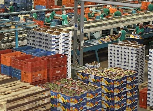 Tarifaço: Governo cria regra para compras públicas; veja os alimentos incluídos