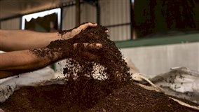 Resíduo de café vira biometano e abastecerá indústria com energia limpa