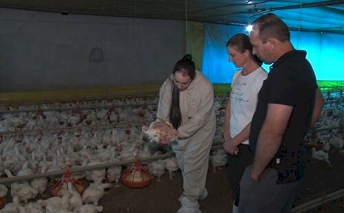 Brasil e México estabelecem Marco legal para cooperação agropecuária