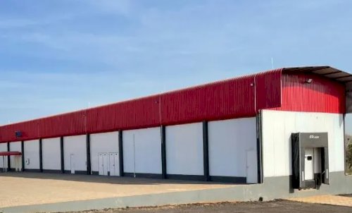 Cooperativa inaugura frigorífico de peixe e amplia mercado de tilápia no Paraná