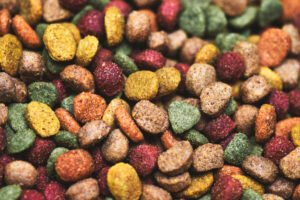 Japão autoriza produtos brasileiros para produção de rações e pet food