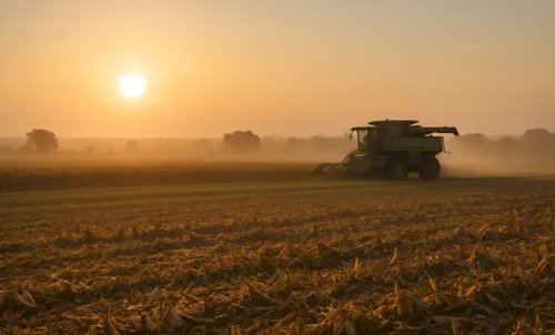 Vazio sanitário da soja termina em 6 de setembro no Mato Grosso