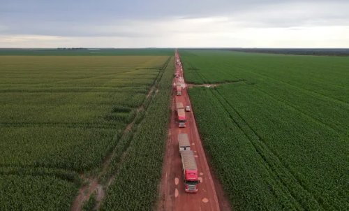Mapa do Matopiba vai mudar: Piauí deve ganhar mais espaço na fronteira agrícola