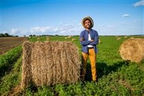 Pequenos e médios agricultores terão crédito para recuperar produção