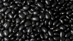 Mercado de feijão registra alta na segunda semana de setembro