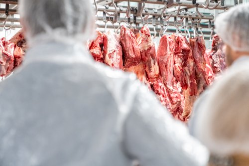 MT registra recorde nas exportações de carne bovina