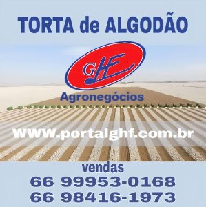 Torta de algodão potencializa o lucro e melhora os resultados para a recria e engorda