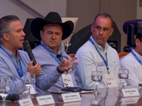 ABCZ leva conhecimento sobre melhoramento genético para a Convenção de Vendas da CRV Lagoa