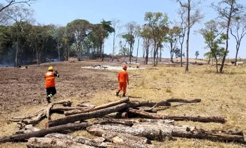 Homem é preso em Mato Grosso após ser flagrado ateando fogo em área rural
