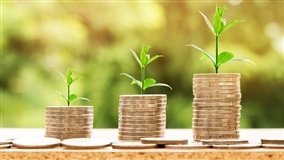 Agronegócio entre Selic elevada e dólar valorizado