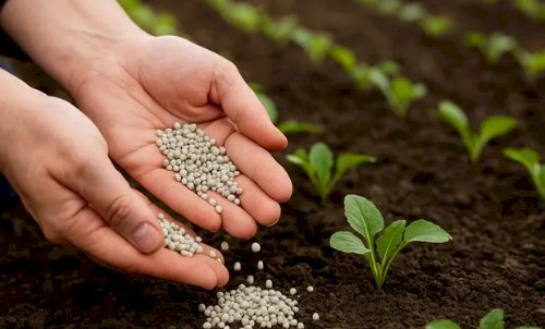 Brasil e Reino Unido firmam acordo para avançar em fertilizantes sustentáveis