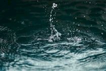 Água: o nutriente negligenciado na produção de leite