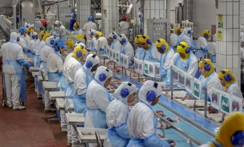 Marfrig e BRF concluem fusão e MBRF estreia na B3 sob comando de Miguel Gularte