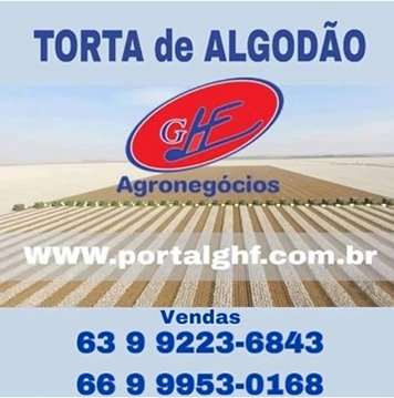 Brasil deve bater novo recorde na produção de algodão