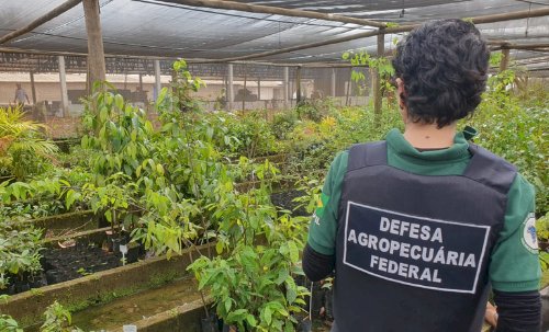 Governo e polícia deflagram operação contra trânsito irregular de sementes em São Paulo