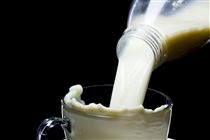 Lácteos ultrafiltrados ampliam presença no varejo