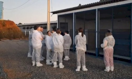 China conclui inspeção em granjas e frigoríficos no RS e avalia retomada das exportações de frango