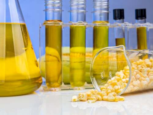 Coprodutos do etanol de milho ganham espaço na nutrição animal