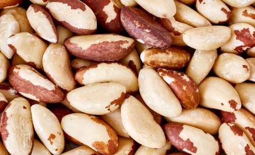 Costa Rica autoriza importação de castanha-do-Brasil