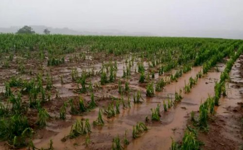 Temporal avança pelo Sul e calor extremo persiste no Centro-Oeste e Sudeste