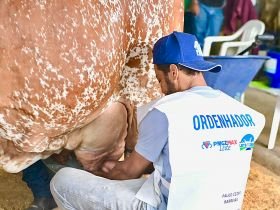 3ª ExpoLeite: disputa acirrada marca início do Concurso Leiteiro