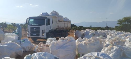Logística reversa: ação na Bahia recolhe 195 mil embalagens vazias de agrotóxicos em um mês