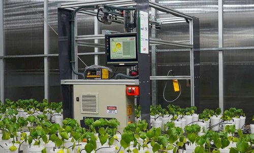 Robô noturno da Embrapa detecta doenças em lavouras de algodão e soja antes dos sintomas