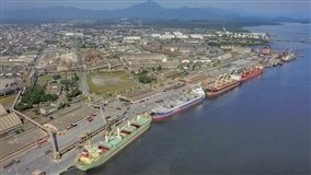 Índia abre mercado para subprodutos bovinos do Brasil