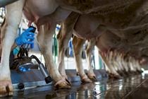 Goiás amplia produção de leite e se mantém entre os maiores do país