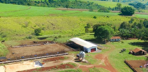 Com o apoio do MilkPoint Capital, produtor mineiro conquista acesso a crédito e dá o passo decisivo para transformar sua fazenda de leite