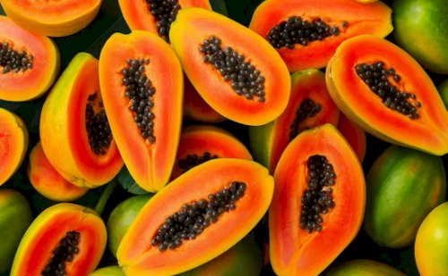 Sakata entra no mercado de mamão e testa novo modelo global no Brasil