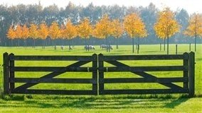 Prazo do georreferenciamento rural é prorrogado