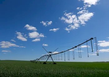 Rio Grande do Sul firma parceria internacional para ampliar irrigação no Estado