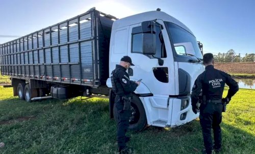 Crimes no agro: operações em MT e PR miram desvio milionário de grãos e furtos de gado